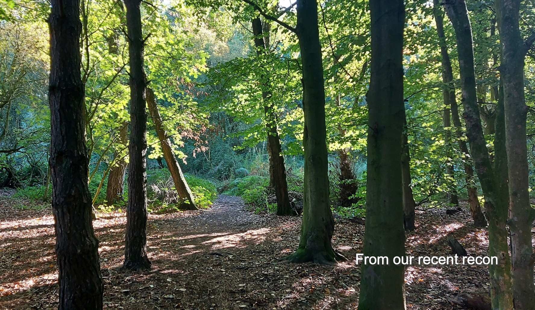 From our recent recon 